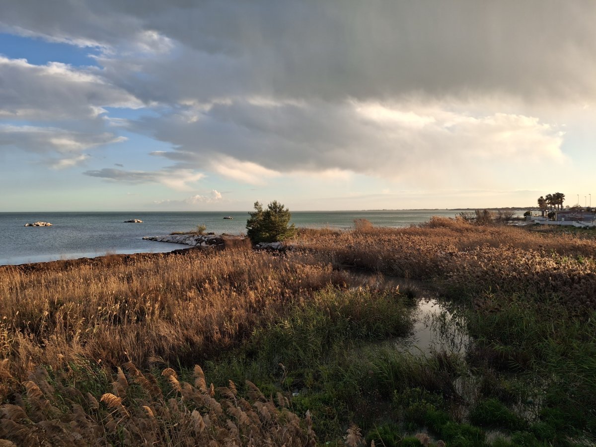 Winterpause = Bootsarbeiten