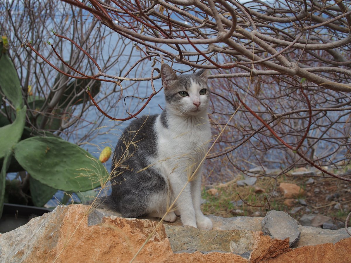Insel-Hopping und viel Besuch an Bord