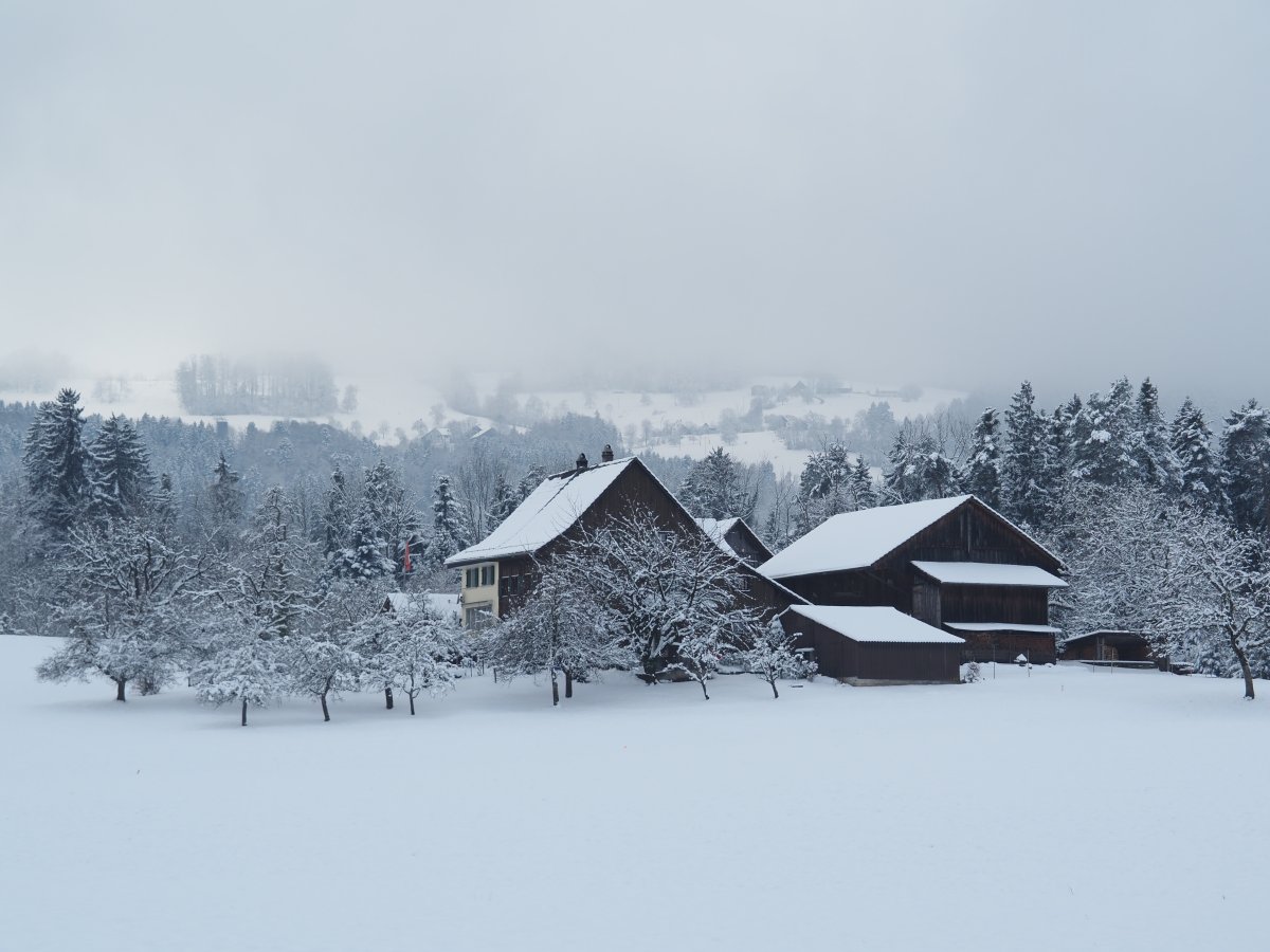 Winterpause zwischen Boot und Heimat